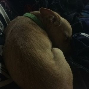 Meet your Posher, Tiffany